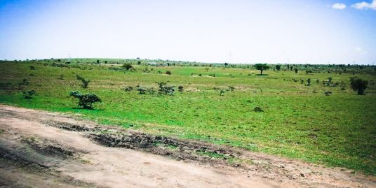 PRIME LAND FOR SALE – ISINYA