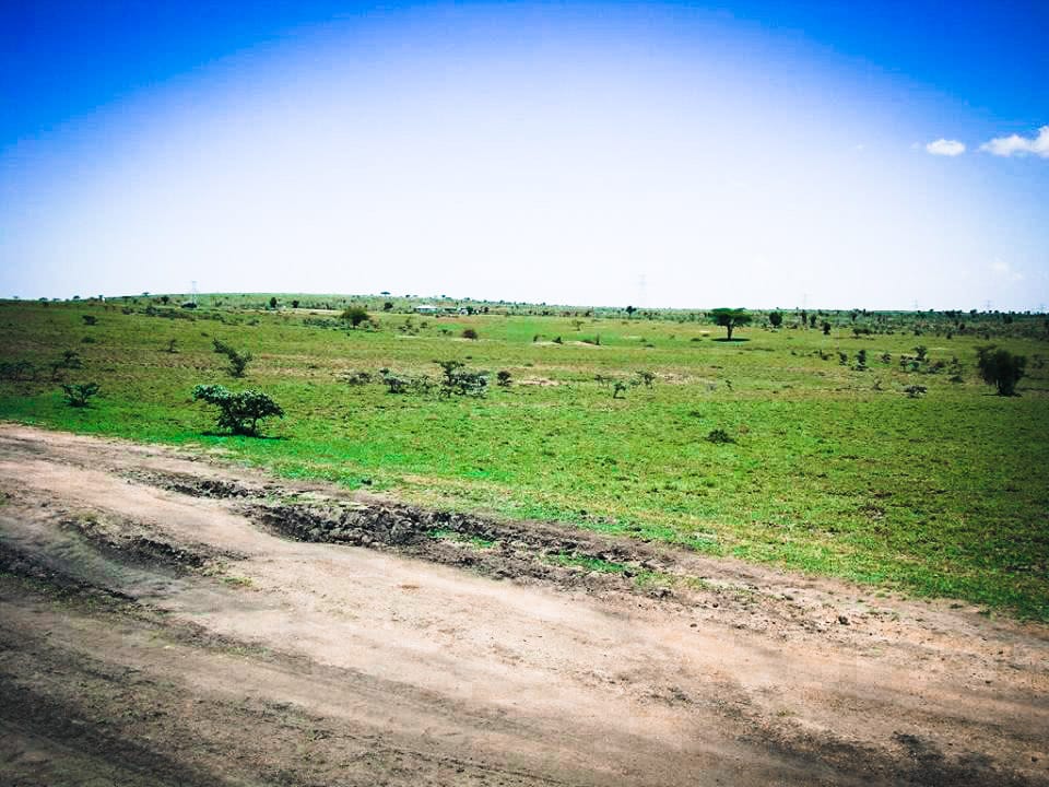 PRIME LAND FOR SALE – ISINYA